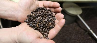 Beans auf Röstereibesuch in Neapel