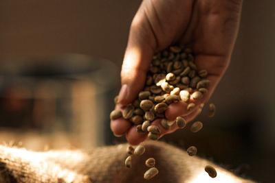 Single Origin Raritäten der Spezialitätenrösterei Goldschmidt