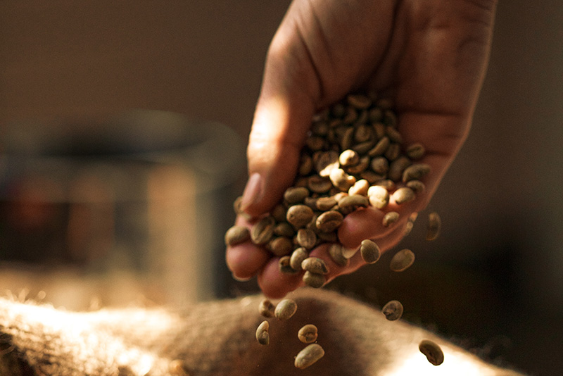 Single Origin Raritäten der Spezialitätenrösterei Goldschmidt