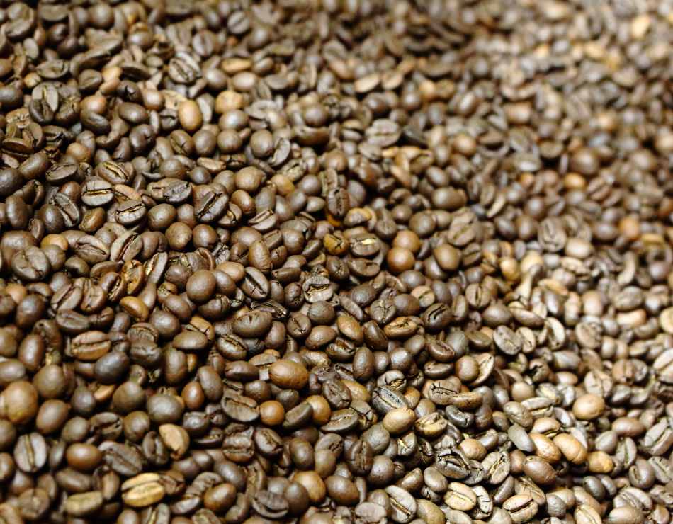 Caffè Grosmi Kühlung der frisch gerösteten Espressobohnen Caffè Grosmi Kühlung der frisch gerösteten Espressobohnen
