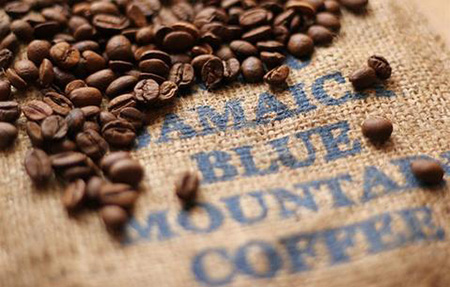 Jamaica Blue Mountain Bohnen Jamaica Blue Mountain Bohnen