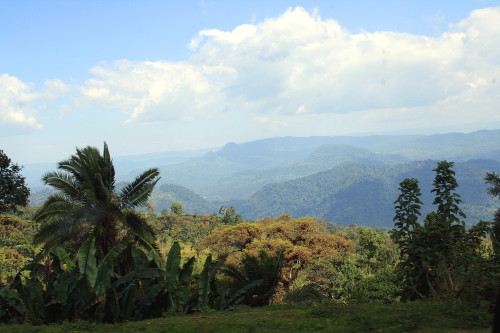 Kaffa Biosphere Reserve