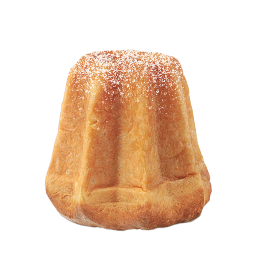 Taccalite Pandoro Tradizionale bei Beans Kaffeespezialitäten Wien Taccalite Pandoro Tradizionale bei Beans Kaffeespezialitäten Wien kaufen! Auch Online!