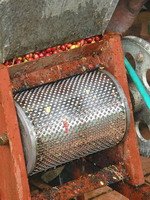 Coffee Pulper Coffee Pulper