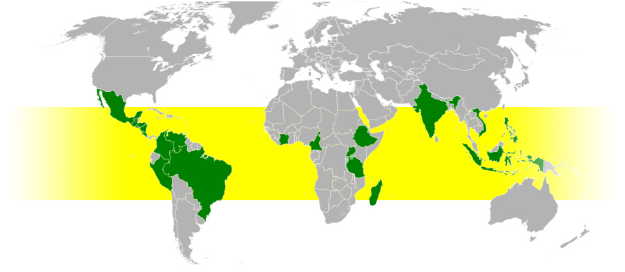 Coffee Belt - Coffee growing regions Coffee Belt - Coffee growing regions