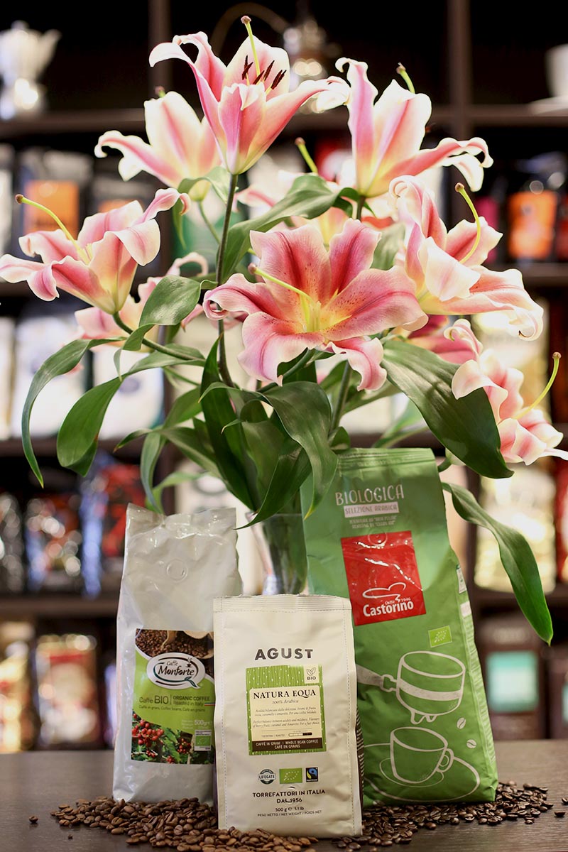 Organic & Fairtrade